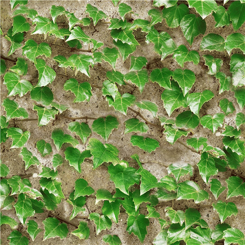 2021 New Design PVC Wallpaper Modern Design Green Plants Design