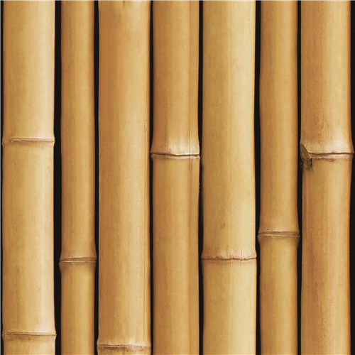 2021 New Design PVC Wallpaper Modern Design Bamboo Design