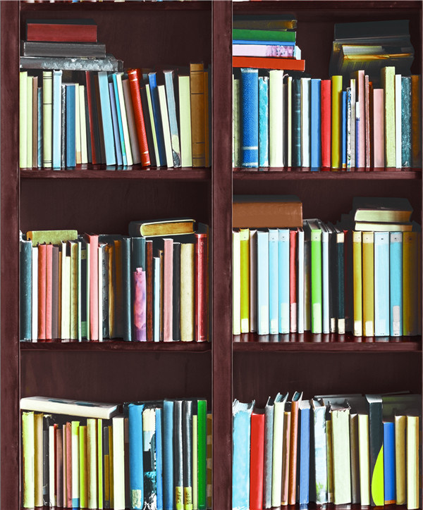 2021 New Design PVC Wallpaper Modern 3D Bookshelf Design