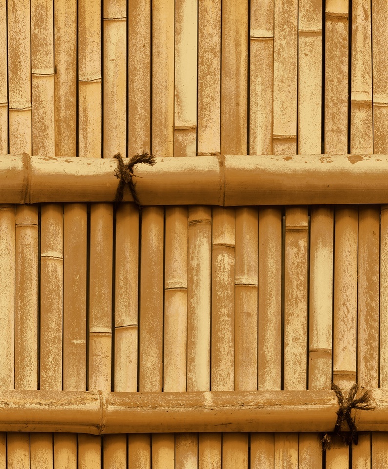 New PVC High Quality Wallpaper Bamboo Design
