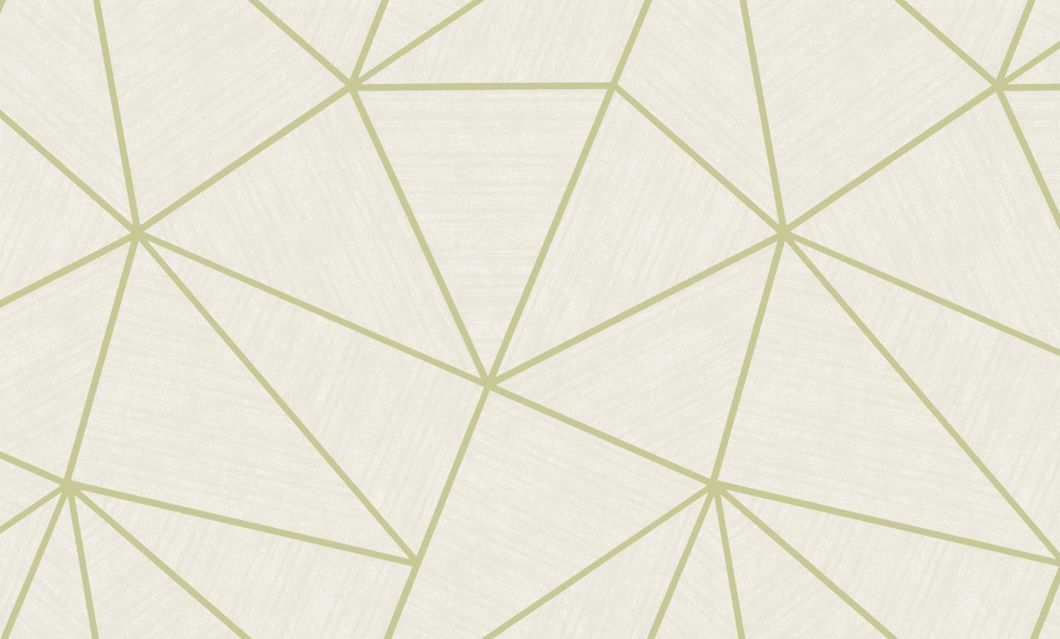 1.03 PVC Luxury Embossing Modern Design High Quality PVC Wallpaper