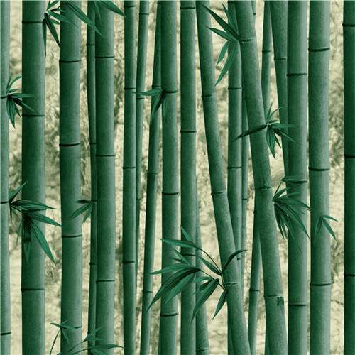 2021 New Design PVC Wallpaper Modern Design Brick Design Bamboo Design Stone Design