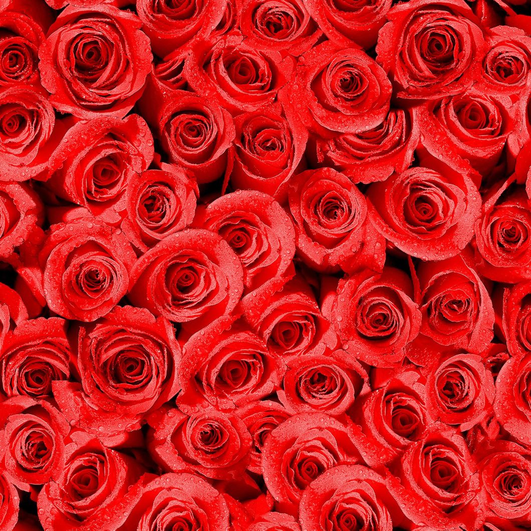 Factory Price Wallpaper PVC Vinyl Wall Paper for Home Decor