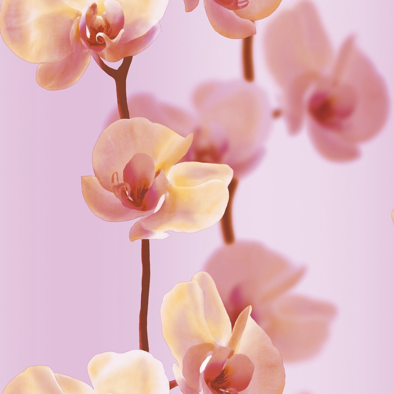 High Quality Wallpaper Luxury Wall Paper Manufacturer