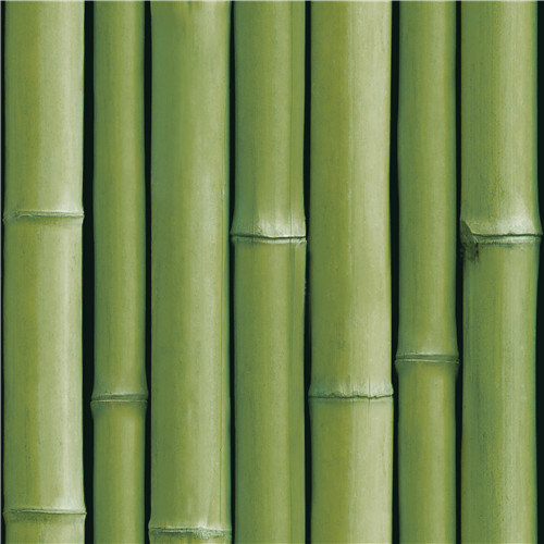 2021 New Design PVC Wallpaper Modern Design Bamboo Design