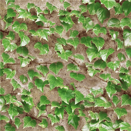2021 New Design PVC Wallpaper Modern Design Green Plants Design