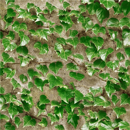 2021 New Design PVC Wallpaper Modern Design Green Plants Design