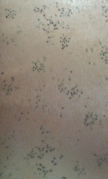 Non Woven Wallpaper Luxury Modern Wall Paper Factory Price Wall Covering for Home Decoration