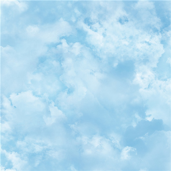 2021 New Design PVC Wallpaper Blue Sky Design