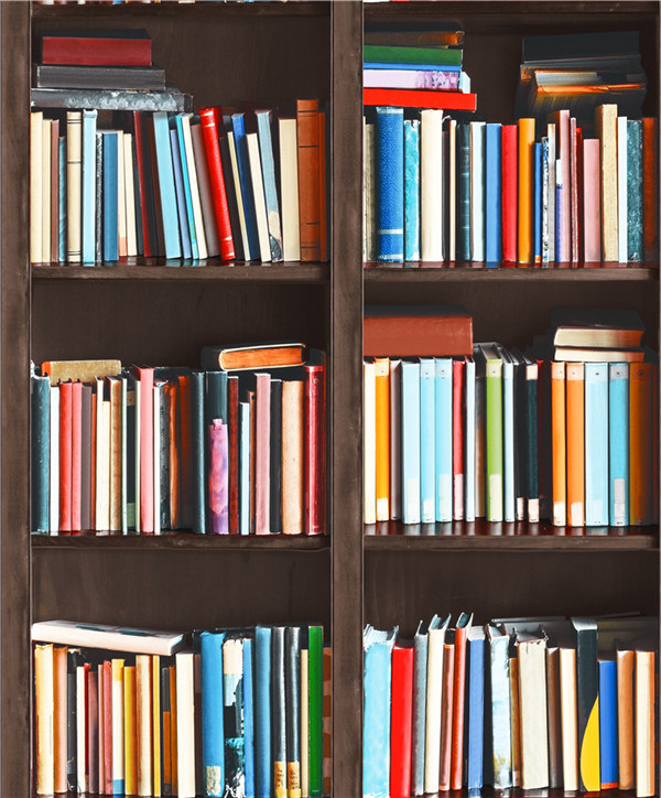 2021 New Design PVC Wallpaper Modern 3D Bookshelf Design