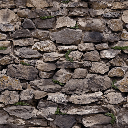 2021 New Design PVC Wallpaper Modern Design Brick Design Bamboo Design Stone Design